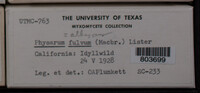 Image Associated With the Occurence